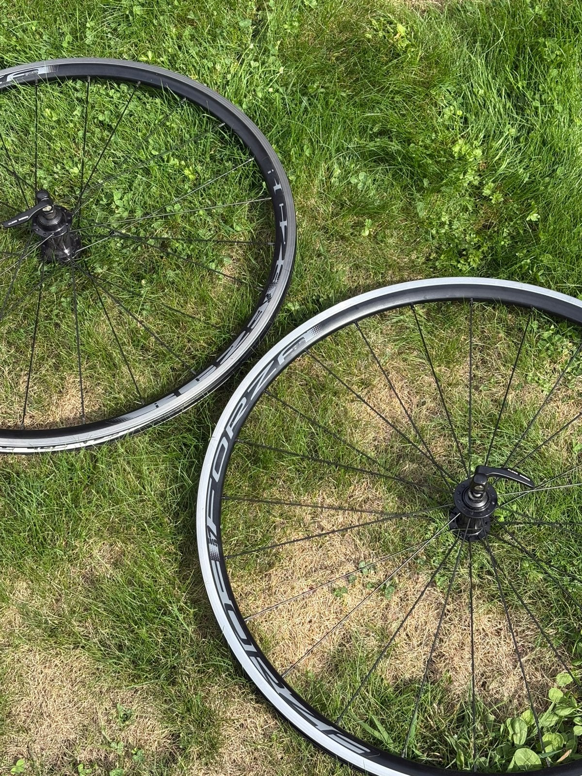 Forza Aluminium Wielset – Shimano Naven & Body, Neuf, Enlèvement, Aluminium, Racefiets