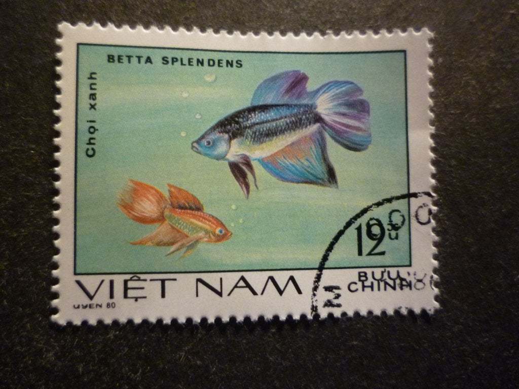 Vietnam 1981 Mi 1146(o) Gestempeld/Oblitéré, Verzenden