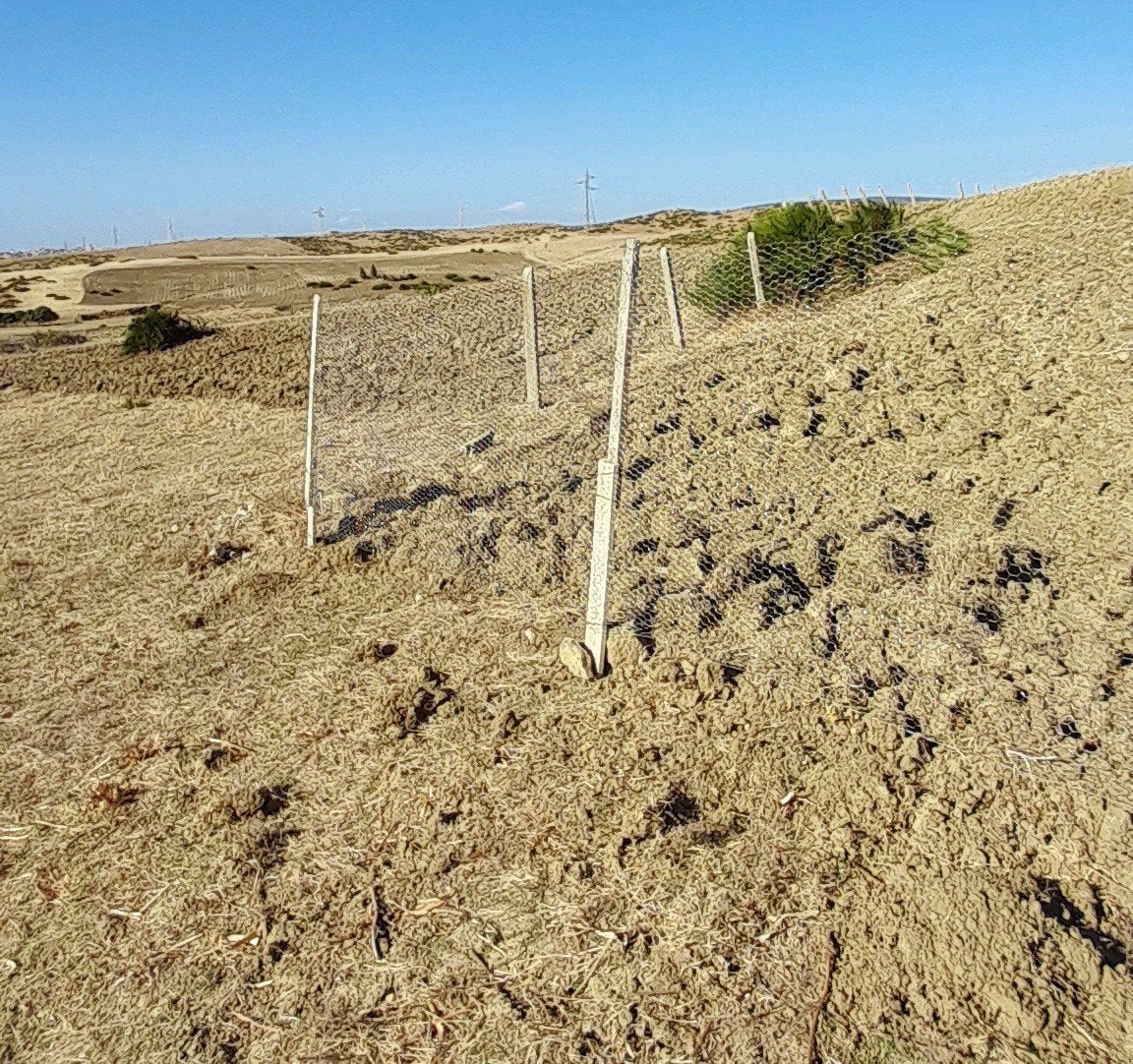 Grand terrain agricole titrè à vendre au Maroc de 5498m2, Immo