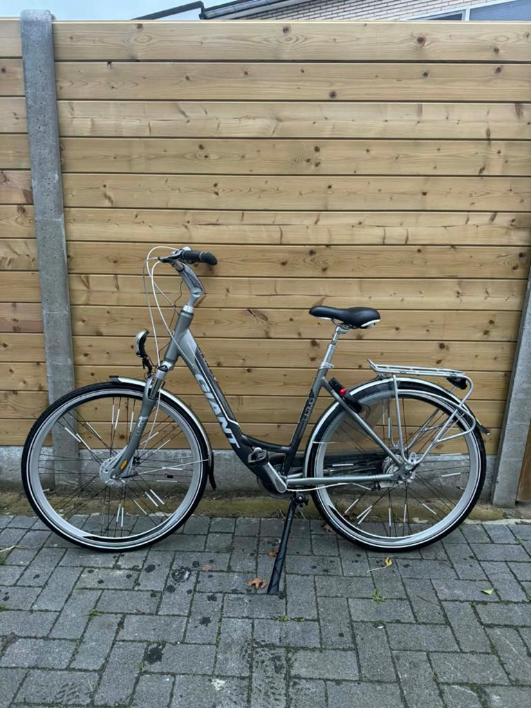 Giant damesfiers, Fietsen en Brommers, Ophalen, Versnellingen