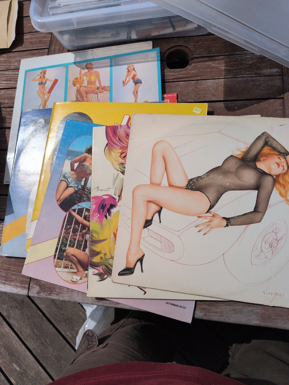 Vinyl 33 tours pin-up
