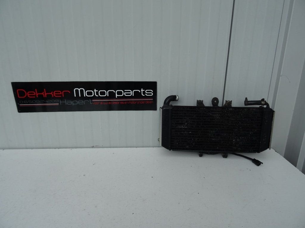 Radiateur / Radiator / Koeler Yamaha FZS600 / Fazer 600 1998, Motoren, -, -, Nieuw, Ophalen of Verzenden
