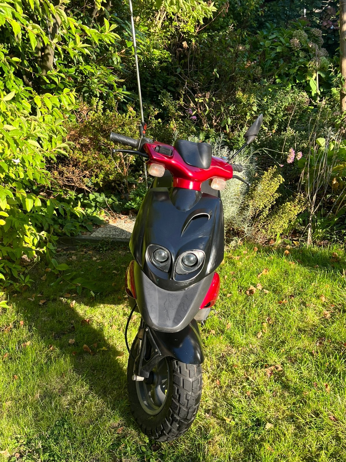 Peugeot TKR 80cc, Autres modèles, 80 cm³, Classe B (45 km/h), Enlèvement