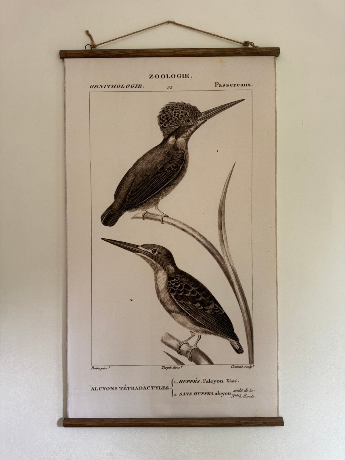 Wanddecoratie van ijvogels, Ophalen