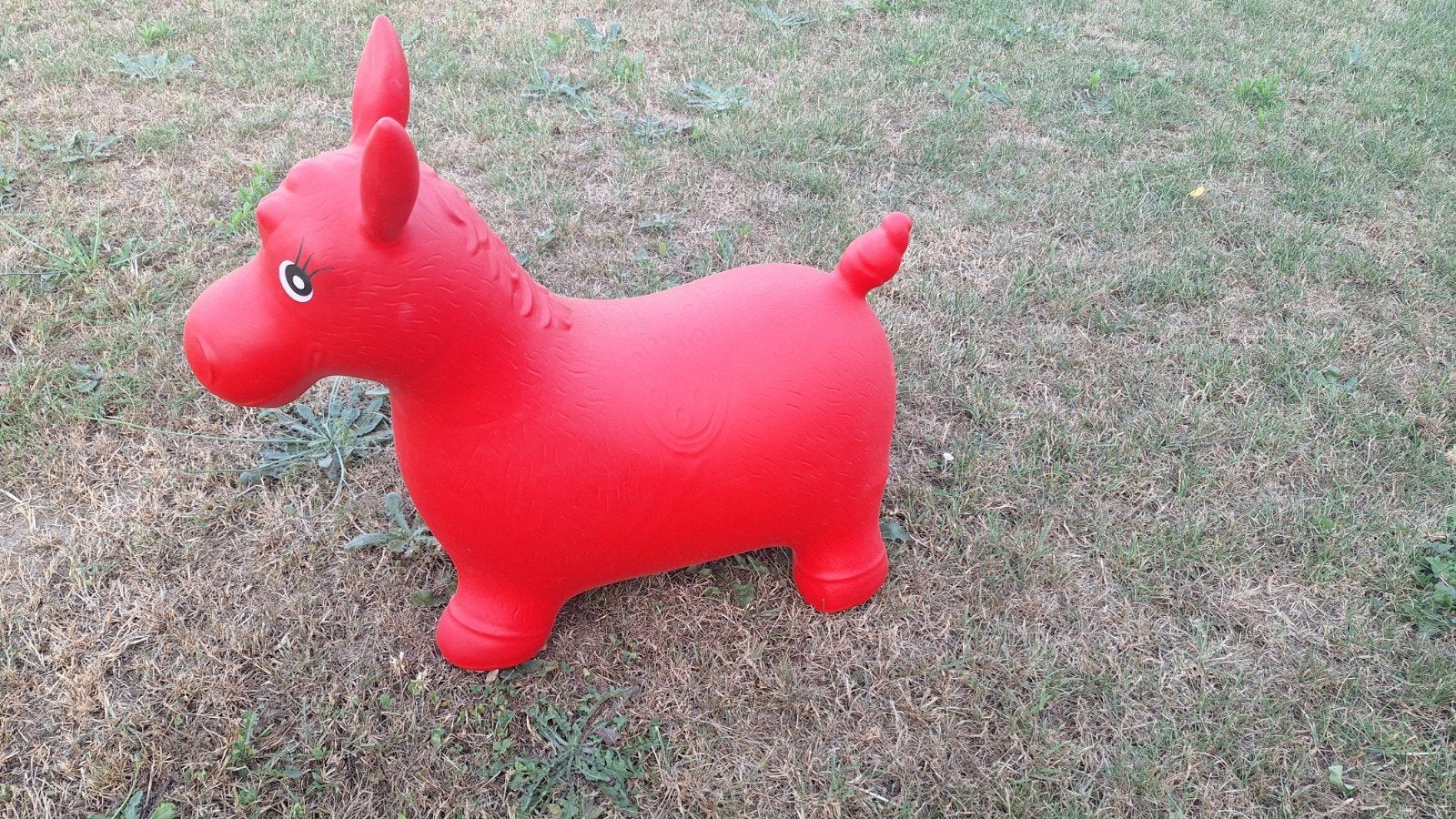 Skippy paard, Enlèvement