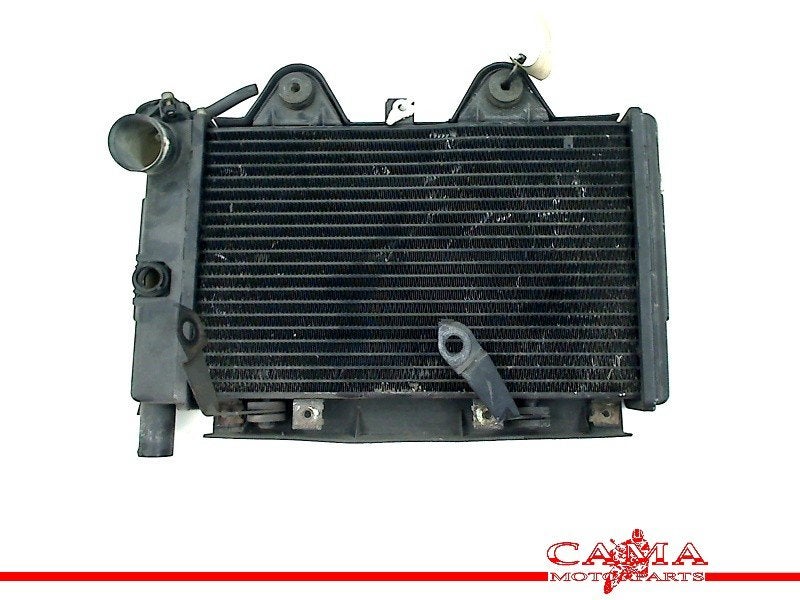 RADIATEUR Triumph Trophy 900 1996-2003 (01-1996/12-2003), Dhr. S. di Majo, Gebruikt, Info@cama-motorparts.nl, P.J. Troelstraweg 8 8
3144 CX  MAASSLUIS, NL
