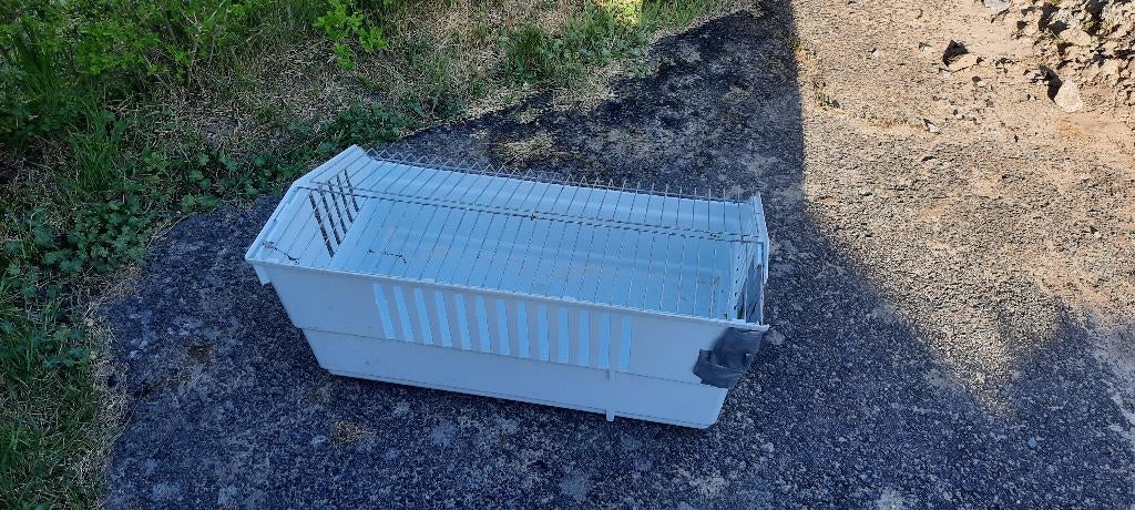 Cavia , konijnen kot, Kooi, Gebruikt, Hamster, 75 tot 110 cm