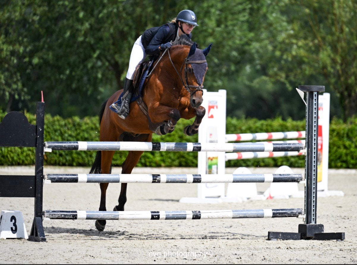 Gouden leermeester tekoop, Dieren en Toebehoren, Paarden, Springpaard, Ruin, M, 160 tot 165 cm