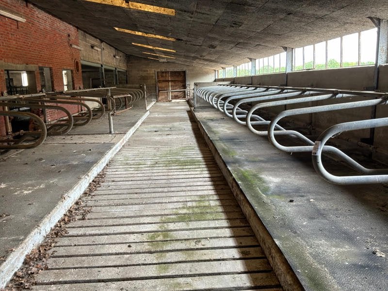 Diverse ligboxen, Dieren en Toebehoren, Stalling en Weidegang