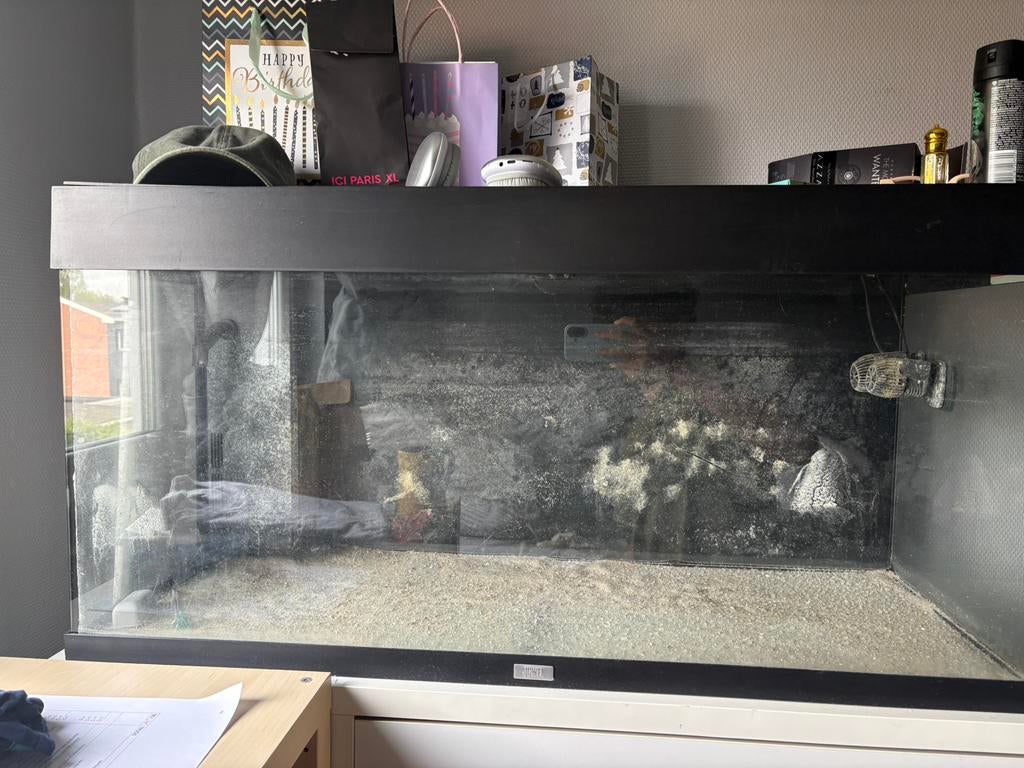Aquarium juwel 200 litres, Dieren en Toebehoren, Ophalen, Gebruikt, Leeg aquarium, Juwel