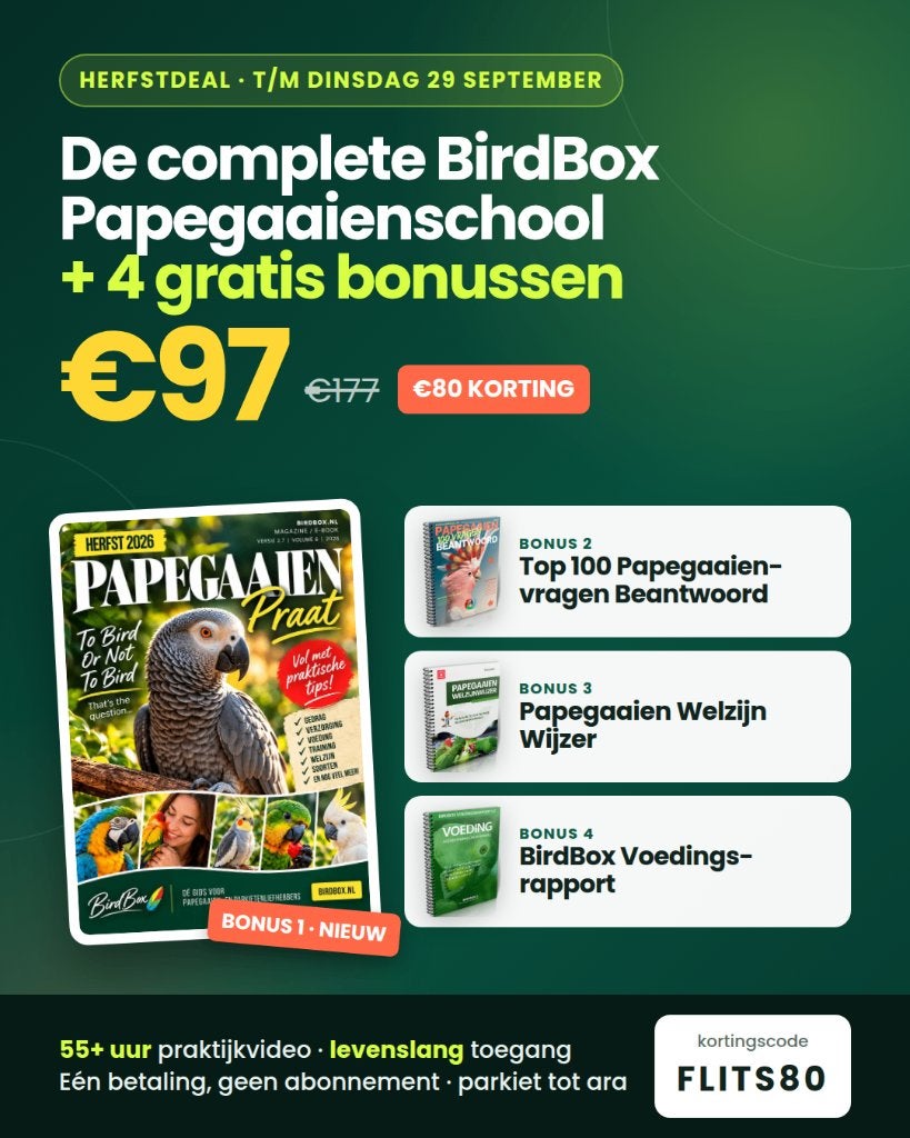 Bijt of schreeuwt je papegaai? Er is een oplossing., Papegaai, Tam