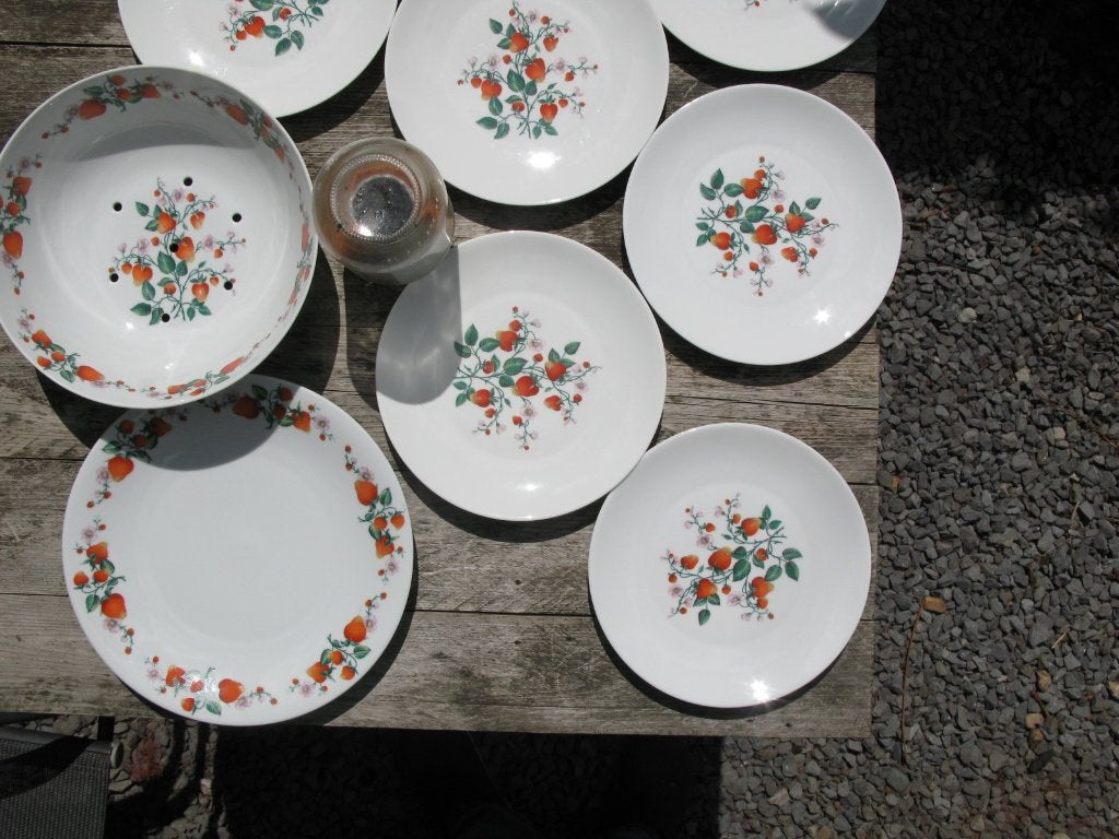 Fruit servies, Service complet, Comme neuf, Enlèvement, Autres styles