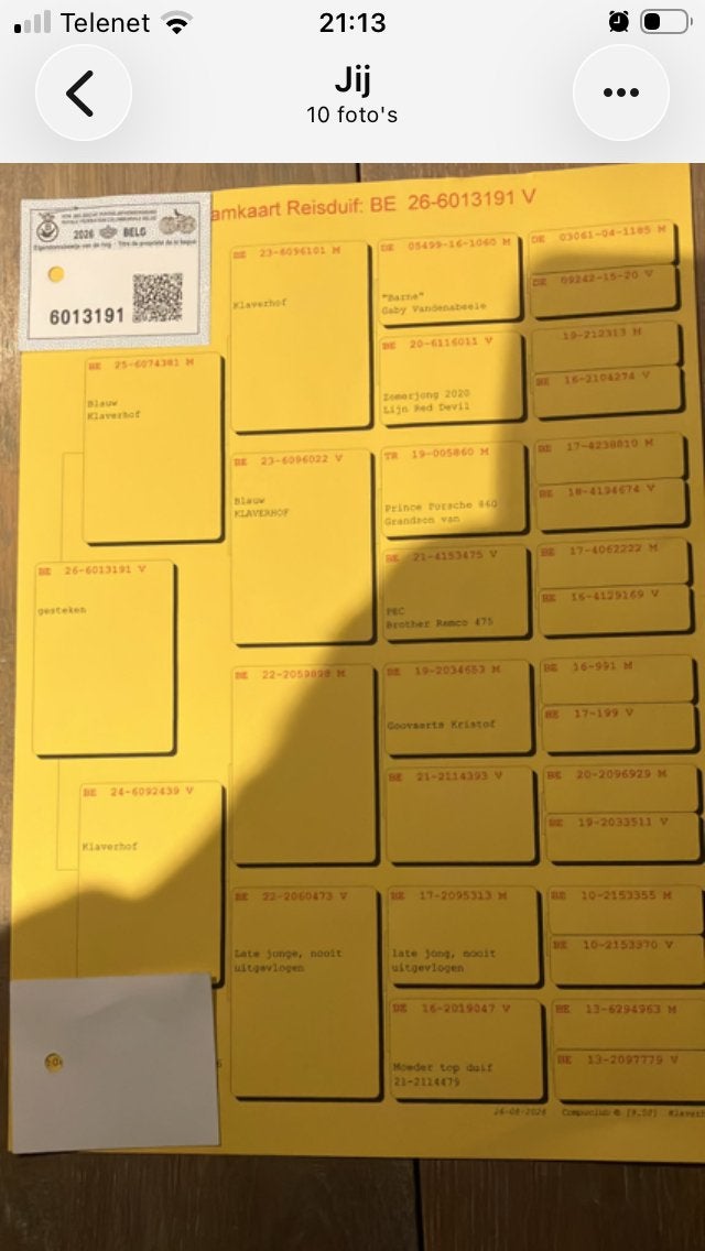 Kweekkoppels te koop, Dieren en Toebehoren, Postduif