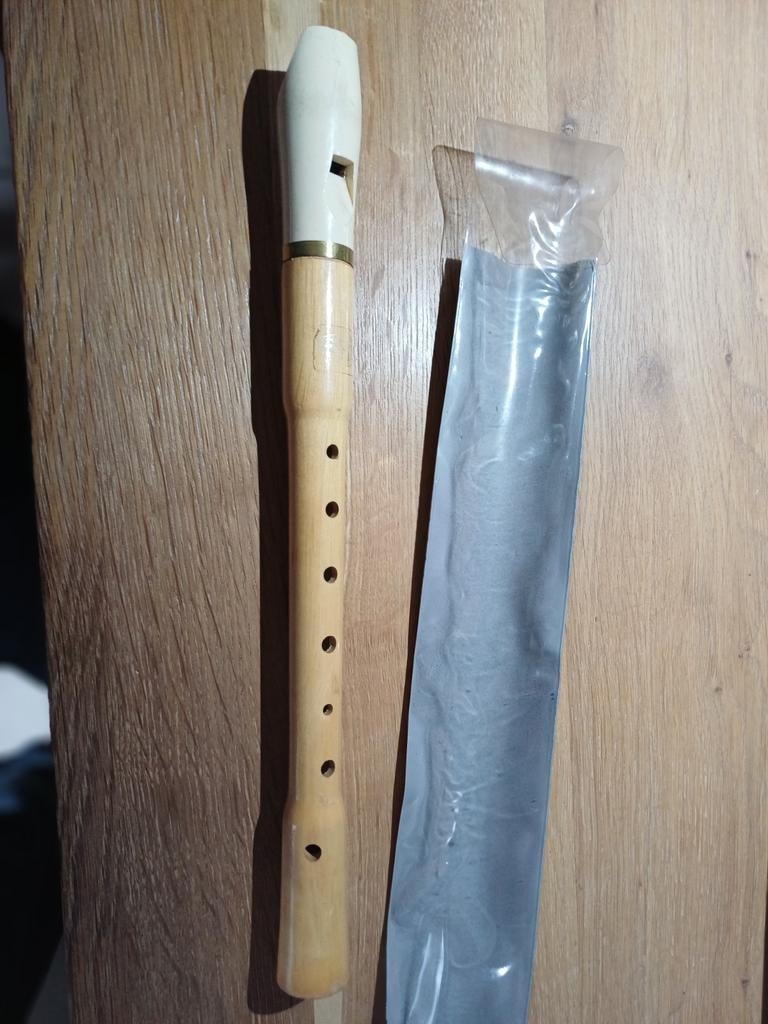 Blokfluit, Musique & Instruments, Instruments à vent | Flûtes à bec, Enlèvement ou Envoi