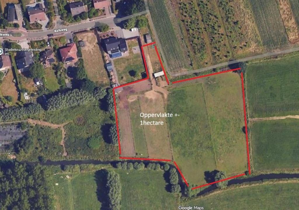Te huur :  Weiland te Zemst 1981, Dieren en Toebehoren, Weidegang, 4 paarden of pony's of meer