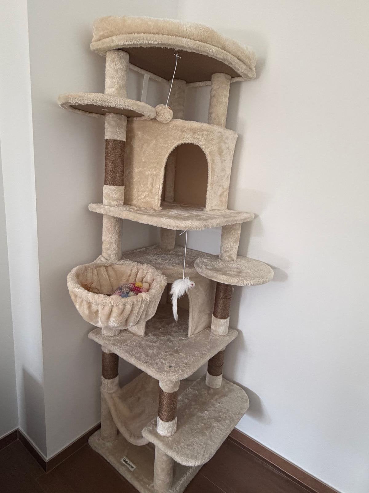 Kattenhuis, Ophalen, Nieuw, Krabpaal