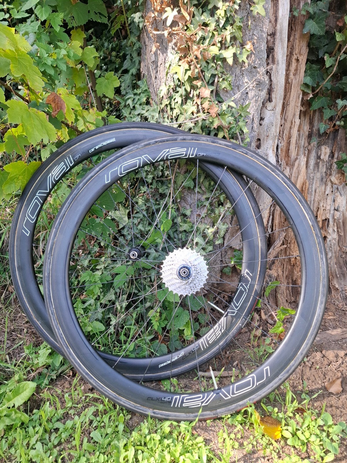 Carbon fietswielen, Fietsen en Brommers, Roval Carbon, Racefiets, Zo goed als nieuw, Carbon