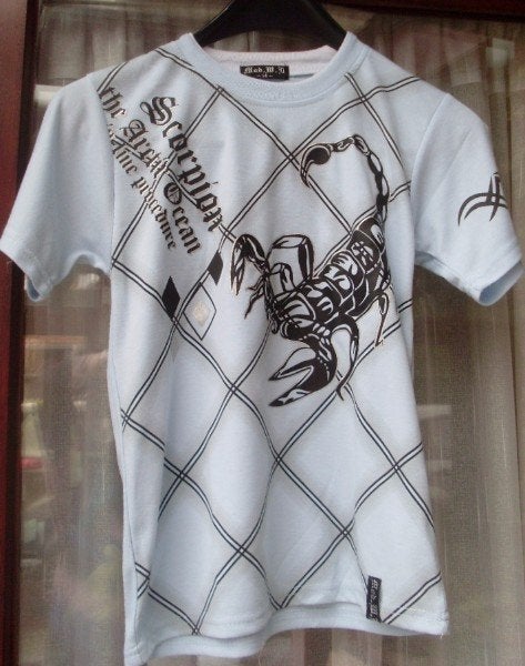 T-shirt met tekening maat 140, Kinderen en Baby's, Kinderkleding | Maat 140, Ophalen of Verzenden, Gebruikt, Jongen, Shirt of Longsleeve