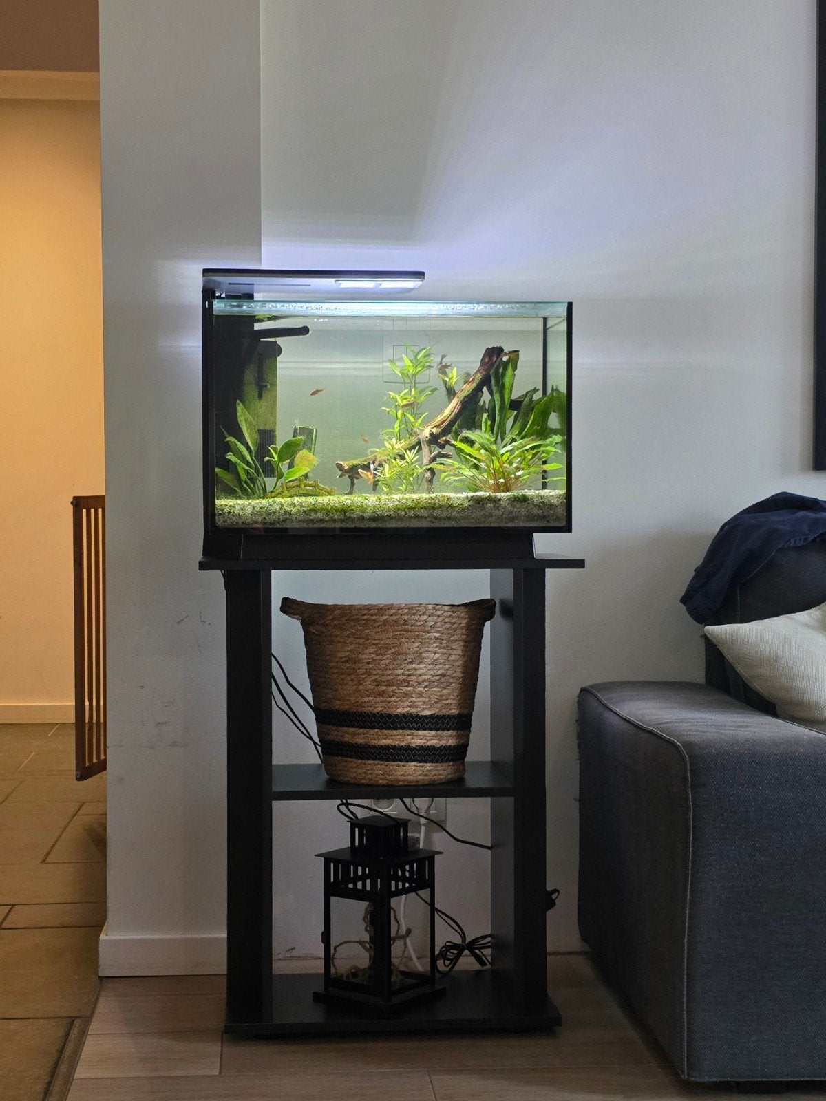 Aquarium 70l complet avec poisson ., Animaux & Accessoires, Poissons | Aquariums & Accessoires, Enlèvement, Pompe