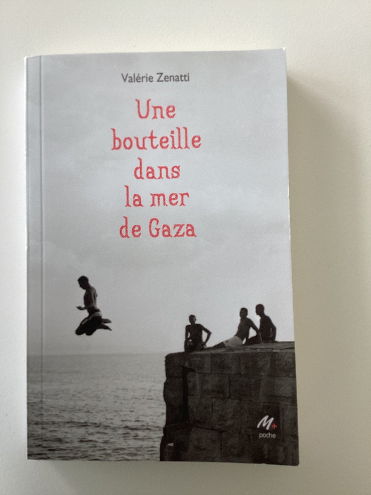 Une bouteille dans la mer de Gaza, Boeken, Taal | Frans, Ophalen, Zo goed als nieuw