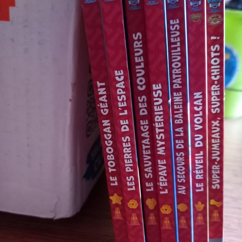 Livres Pat'patrouille, Garçon ou Fille, Fiction général, Comme neuf, Enlèvement