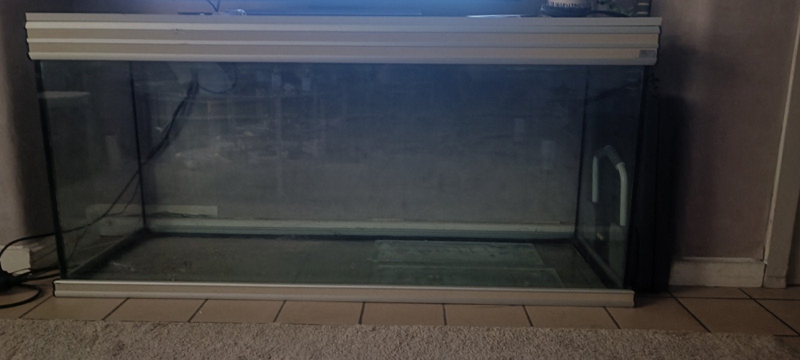 Aquarium, Dieren en Toebehoren