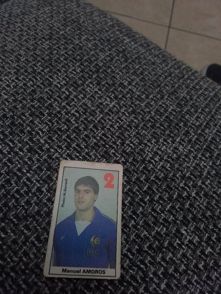 Panini, Enlèvement
