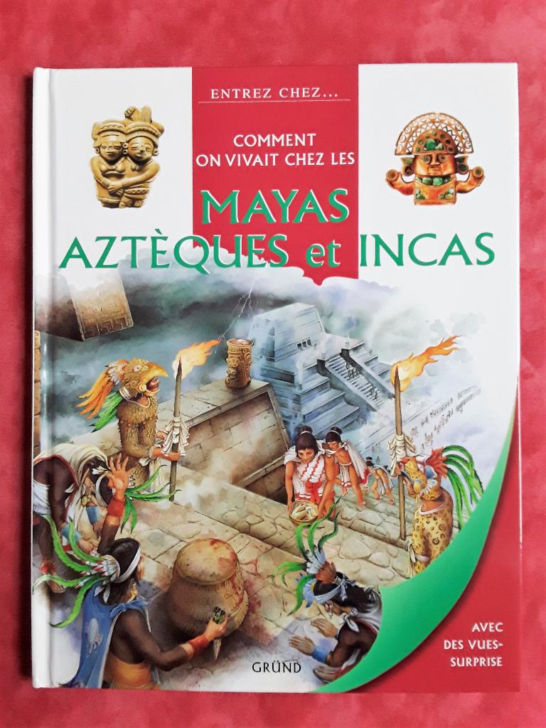 Livre NOUVEAU illustré en couleur Mayas, Aztèques & Incas -, Ophalen, Zo goed als nieuw