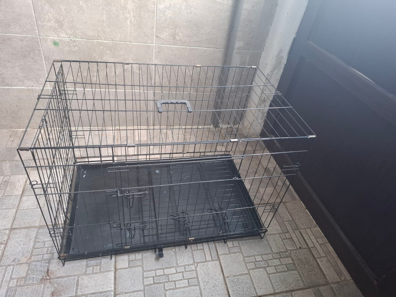Voor de dieren, Enlèvement
