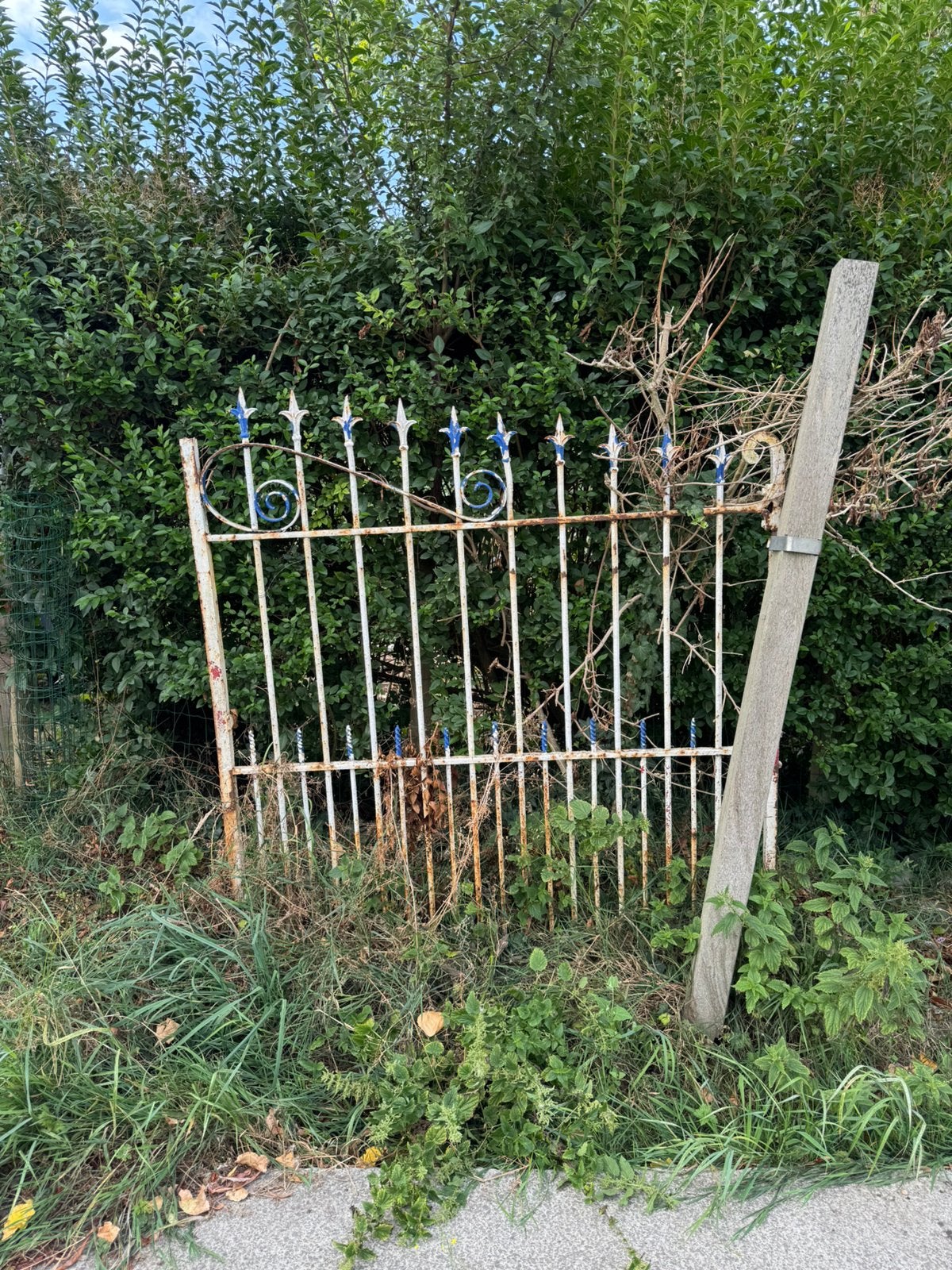 Antieke ijzeren poort, Enlèvement, Utilisé, Fer, Porte du jardin