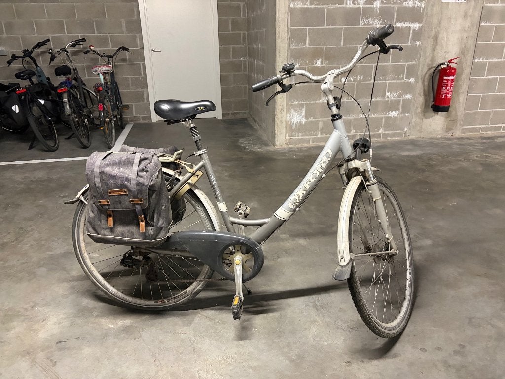 Dames stadsfiets met tassen, Velgrem, Versnellingen, Ophalen, Overige merken