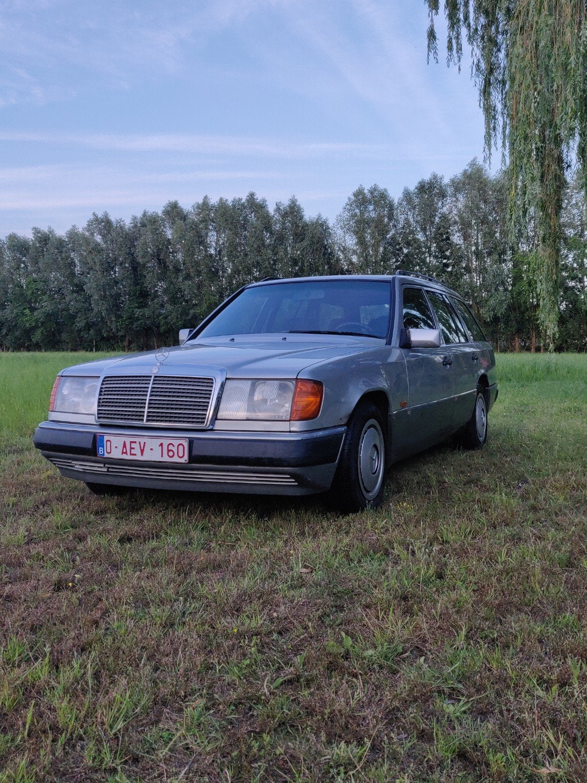 Mercedes Benz 250 diesel oldtimer, Ophalen, Gebruikt
