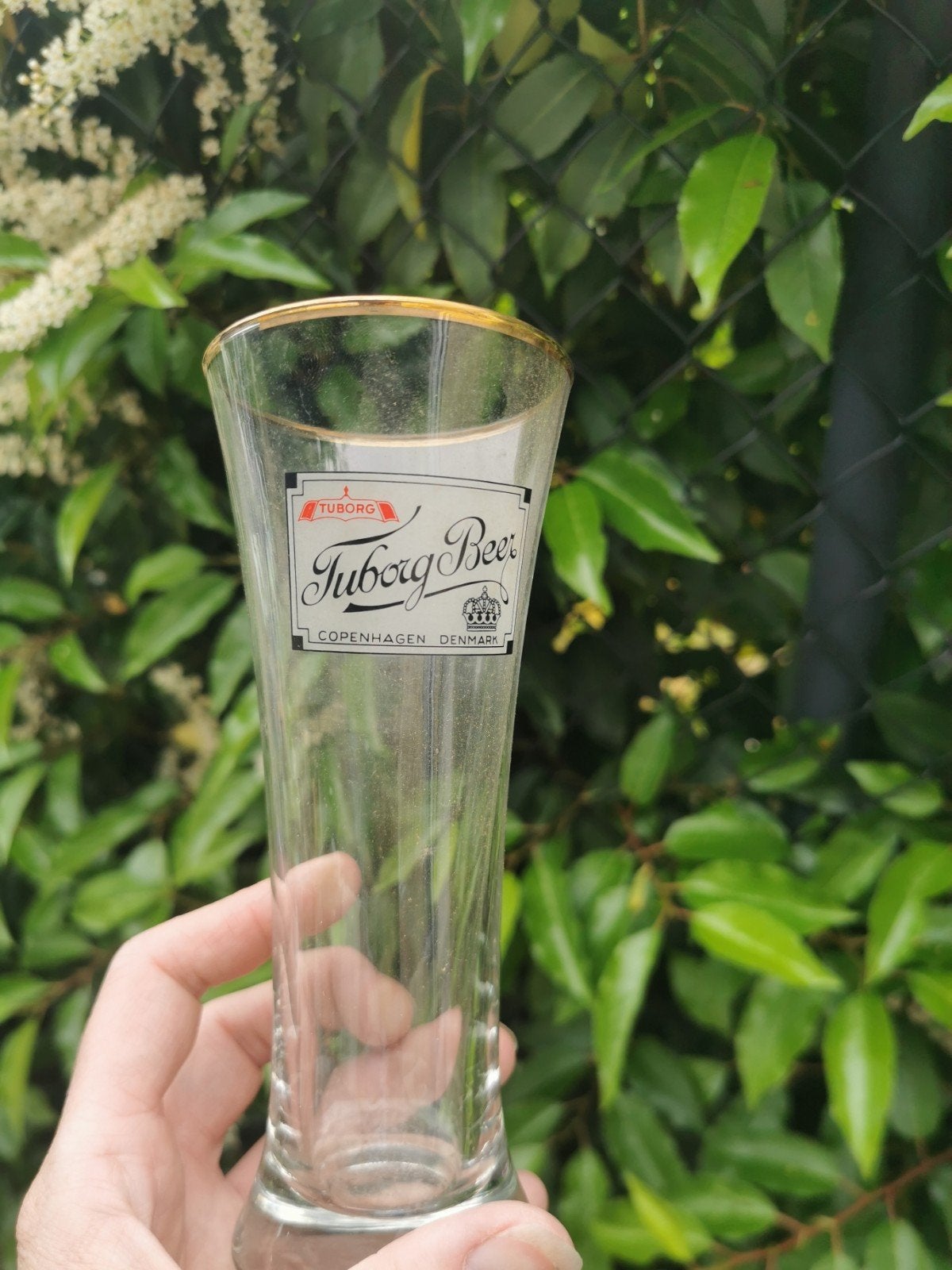 Tuborg-bier, Verzamelen, Ophalen, Nieuw, Glas of Glazen, Overige merken