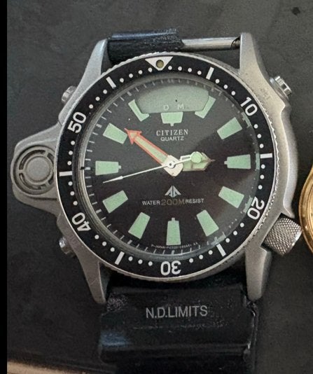 Citizen Promaster Aqualand — Plongée Ana-Digi, Ophalen, Citizen