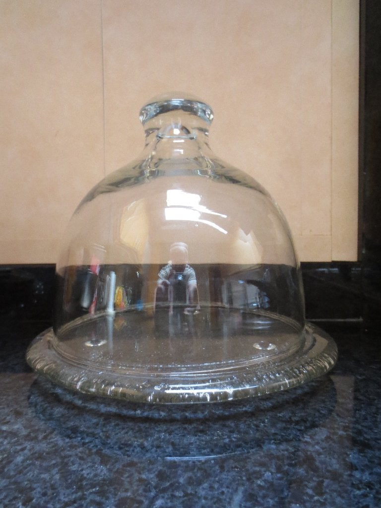 Glazen stolp, Huis en Inrichting, Ophalen of Verzenden, Zo goed als nieuw, Glas
