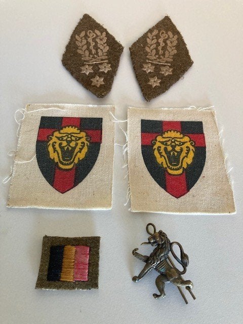 unique d'insignes de la Brigade Piron — Service médical, Collections, Enlèvement ou Envoi, Armée de terre, Emblème ou Badge