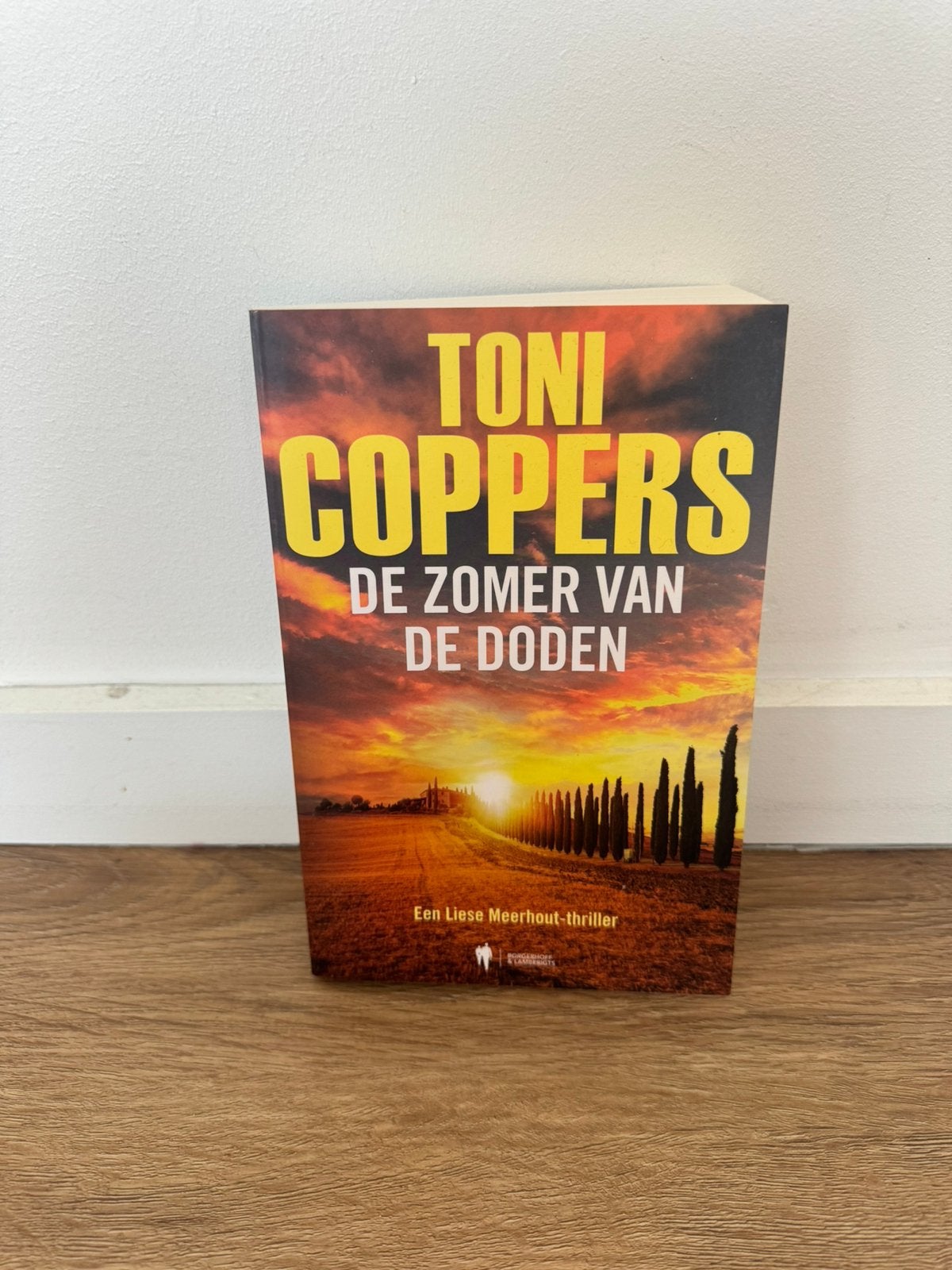 Toni Coppers - De zomer van de doden, Boeken, Ophalen of Verzenden, Toni Coppers; Annick Lambert