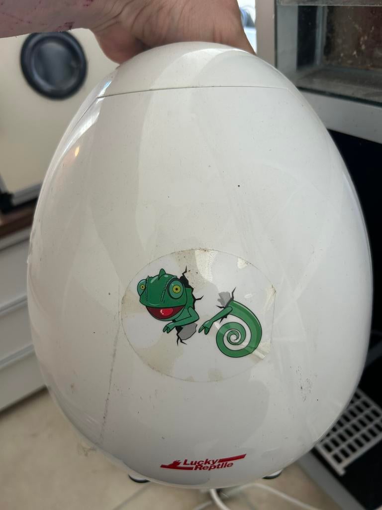 Lucky reptile incubator., Ophalen, Broedstoof of Broedmachine