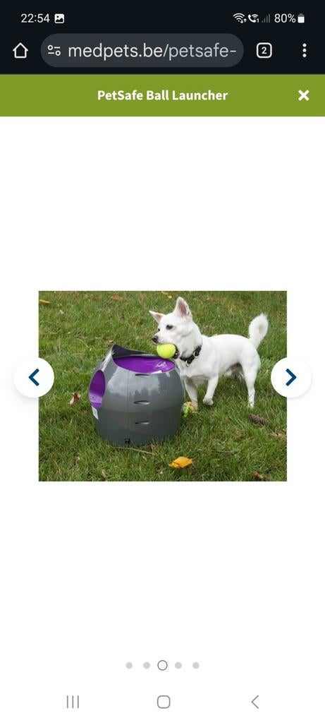 Petsafe automatische ballenwerper, Dieren en Toebehoren, Ophalen