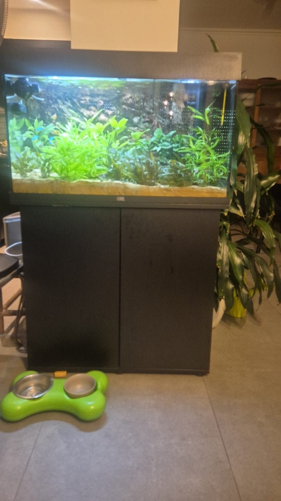 Volledig aquarium met meubel, Dieren en Toebehoren, Ophalen, Gebruikt, Inclusief vissen, Gevuld zoetwateraquarium
