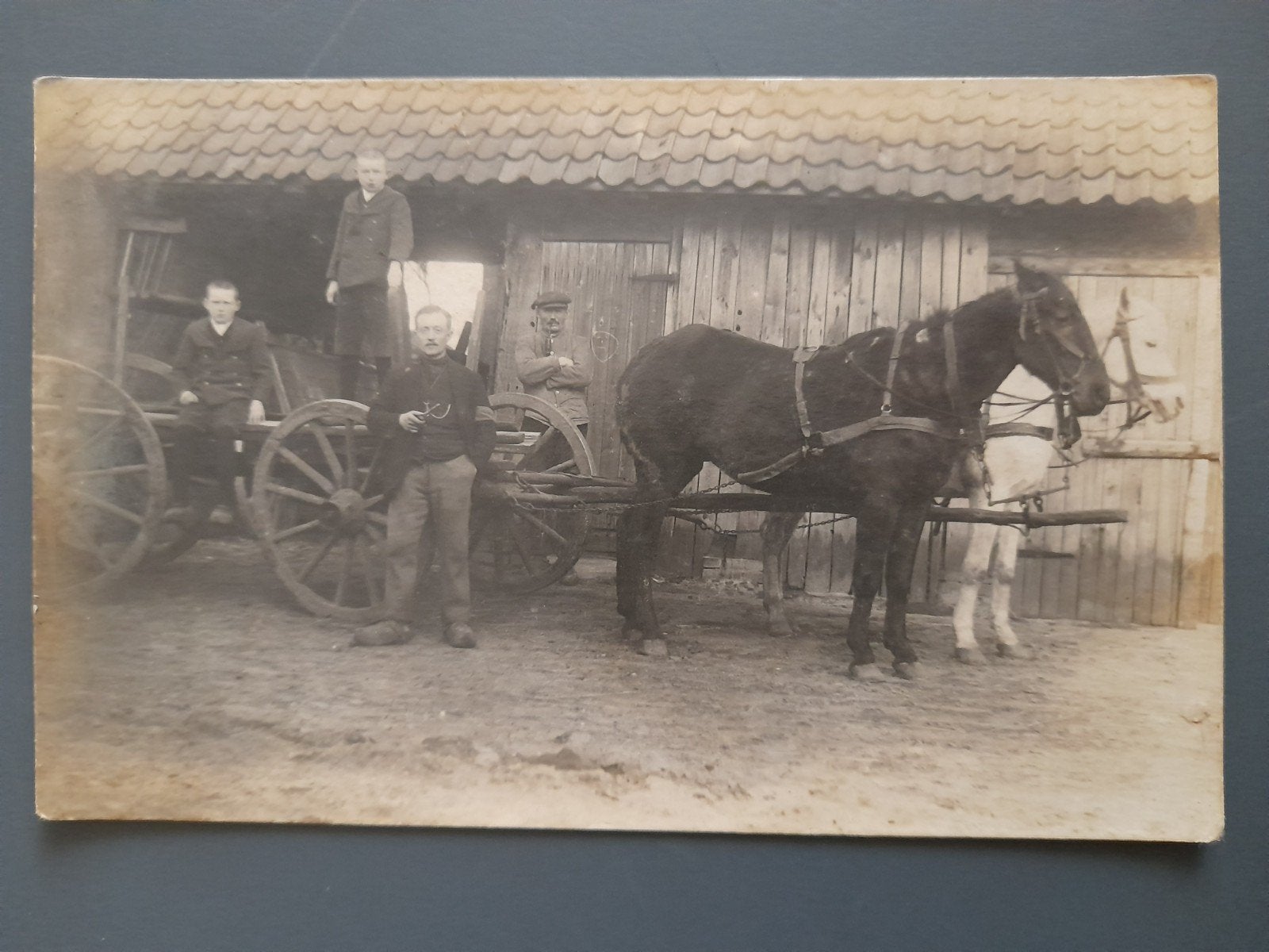 Ansichtkaart „Boeren” poseren met kar en paarden, Ophalen of Verzenden, Voor 1940, Overige onderwerpen, Foto