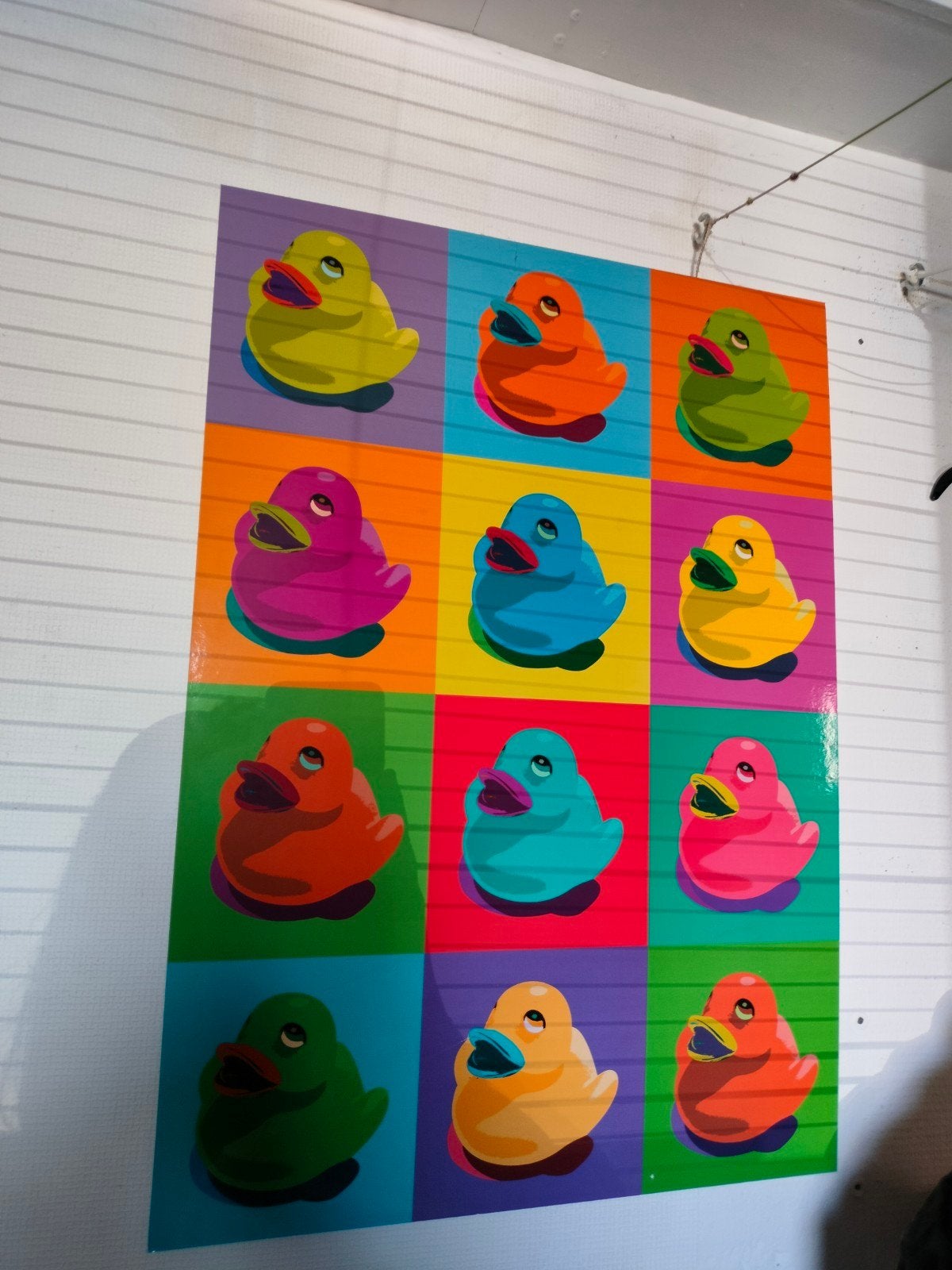 popart badeendjes  houten kader, Antiek en Kunst, Ophalen