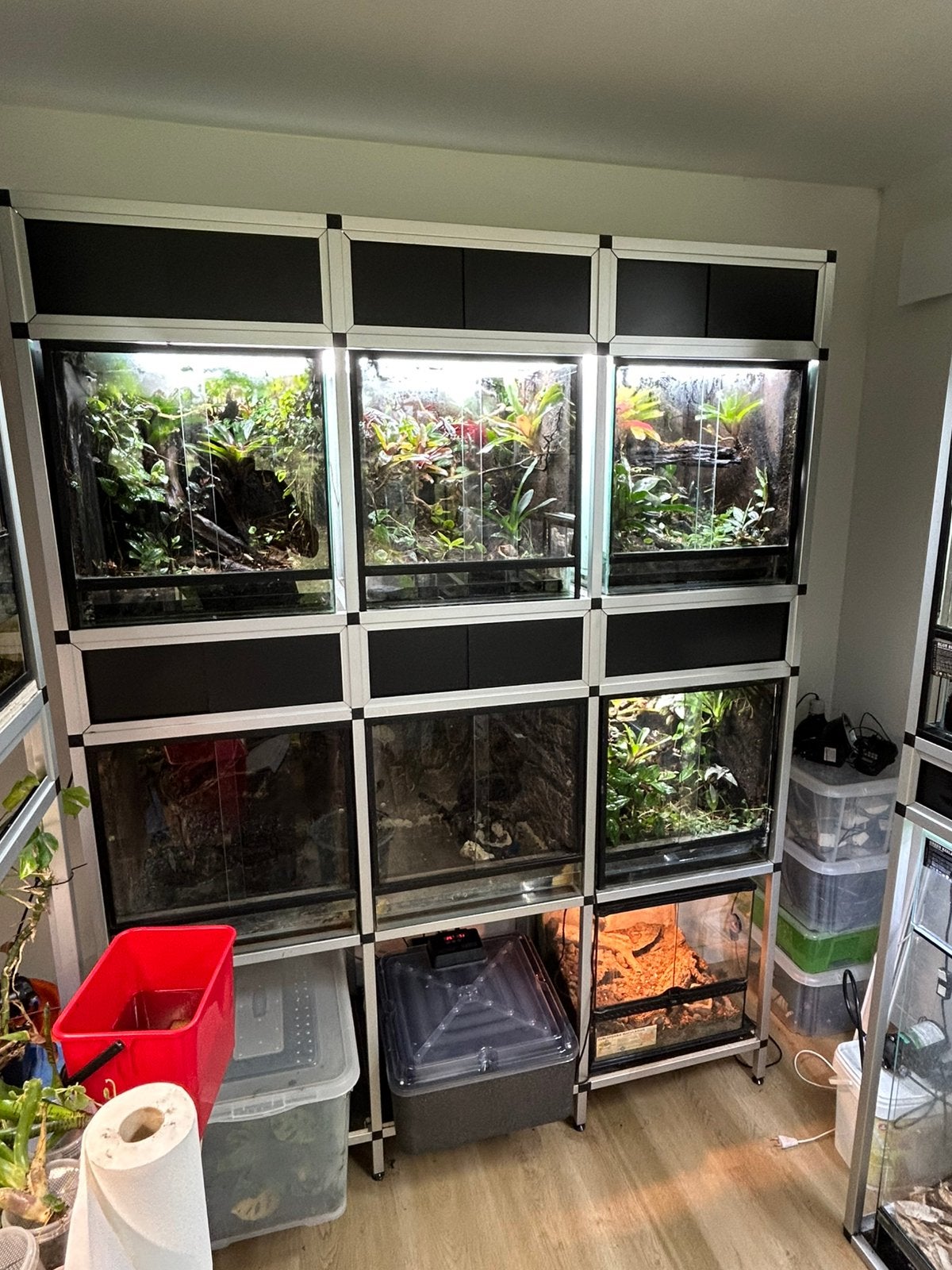 Terrarium stelling, Ophalen, Zo goed als nieuw, Verlichting