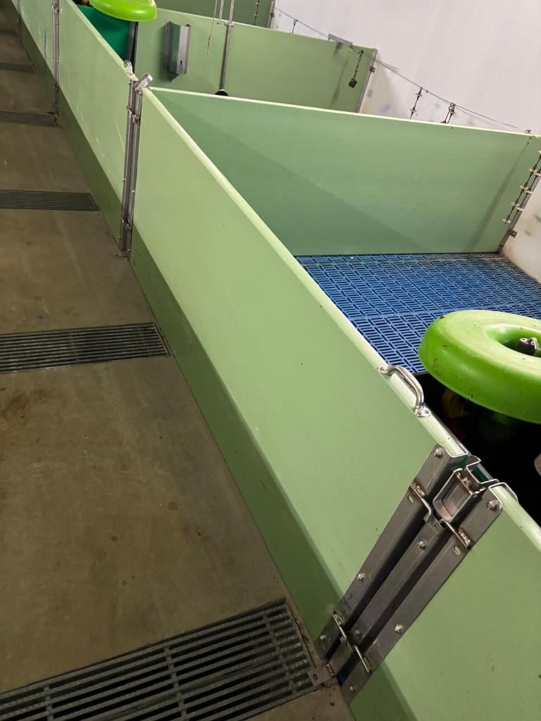 Hokinrichting voor biggen [243], Dieren en Toebehoren
