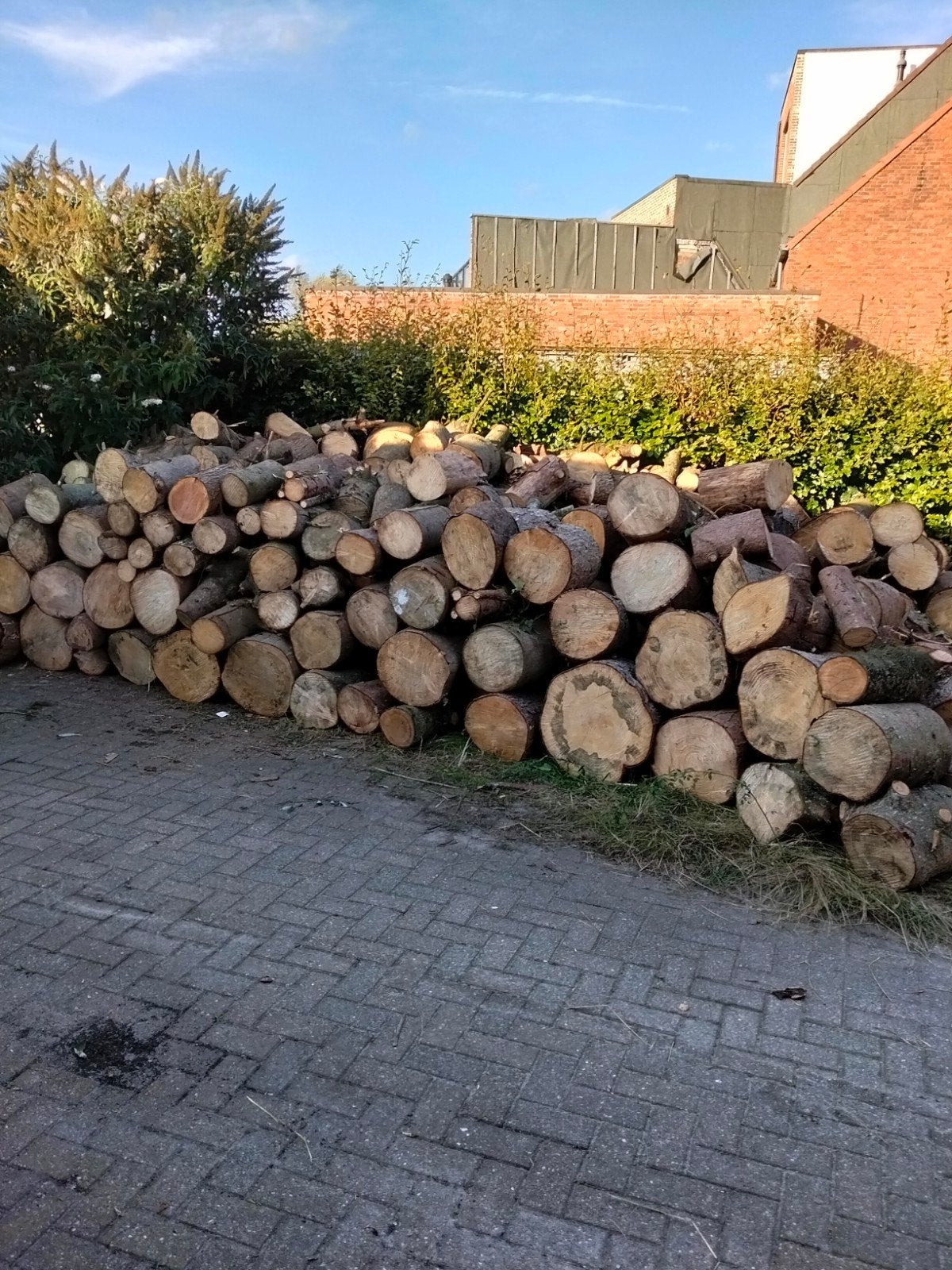 brandhout te koop, Enlèvement ou Envoi