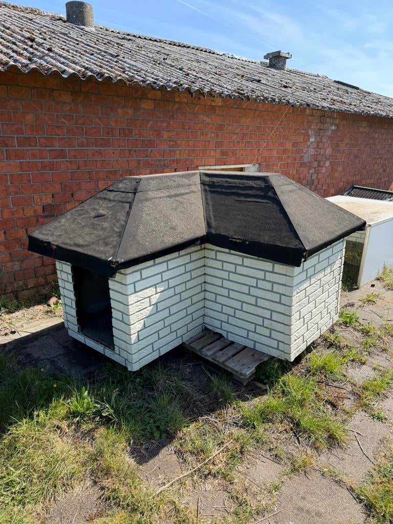 Kippen of hondenhok, Dieren en Toebehoren, Ophalen, Gebruikt, Kippenhok of Kippenren