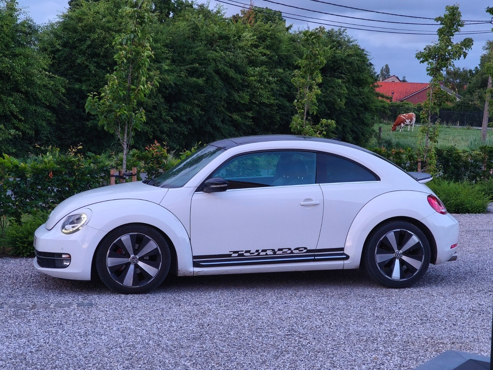 Unieke beetle 2.0tfsi R400, Autos, Particulier, Achat