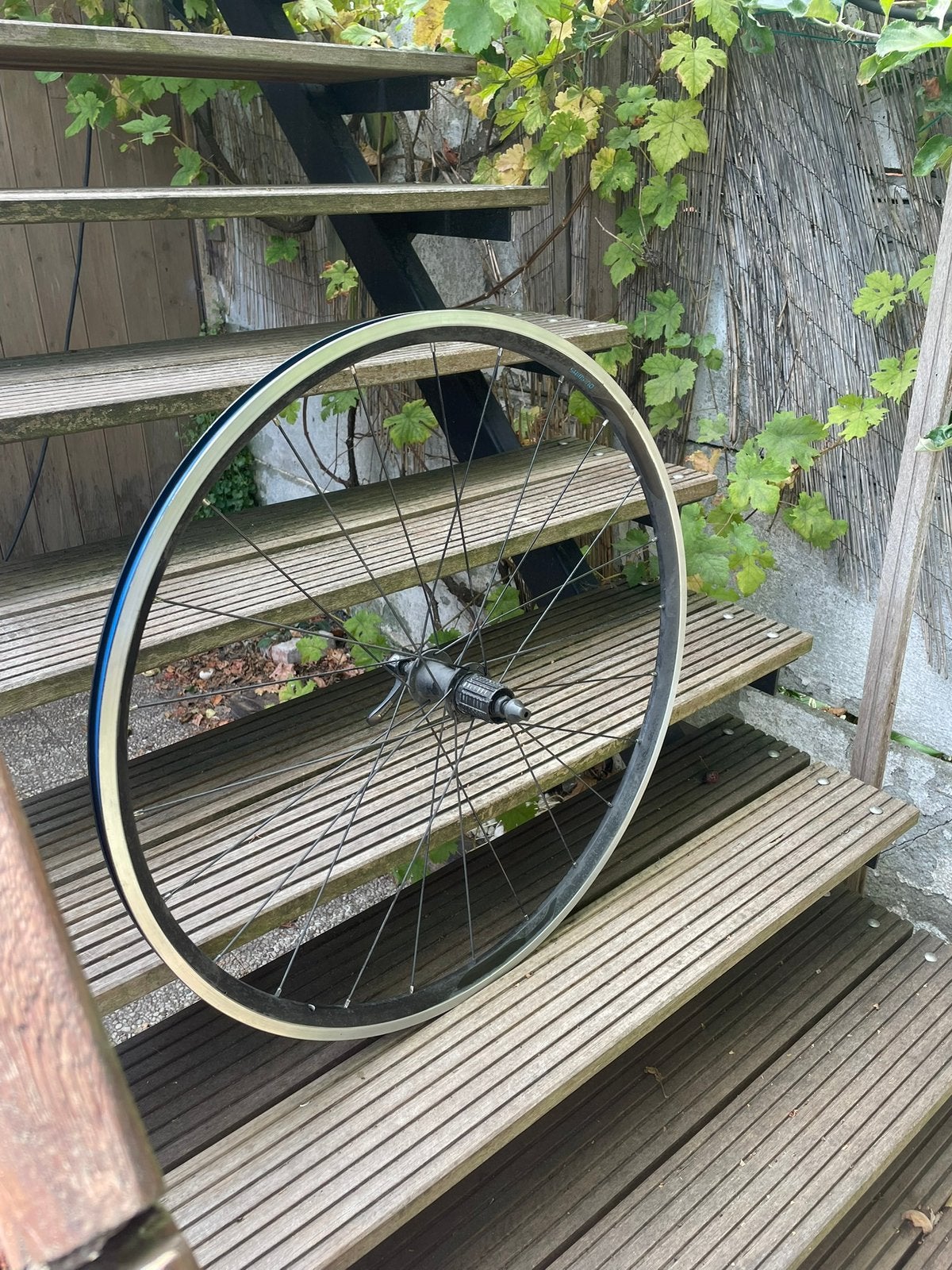 Shimano WH-RS100, Fietsen en Brommers, Fietsonderdelen, Wiel, Gebruikt, Ophalen of Verzenden, Aluminium
