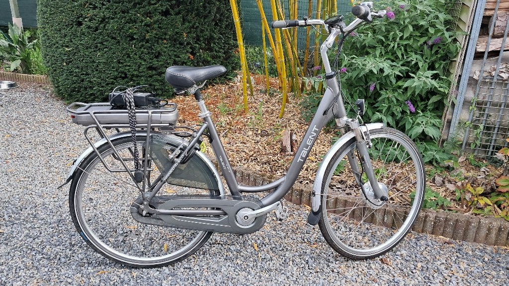 Damesfiets, Velgrem, (Extra) lage instap, Ophalen, Overige merken