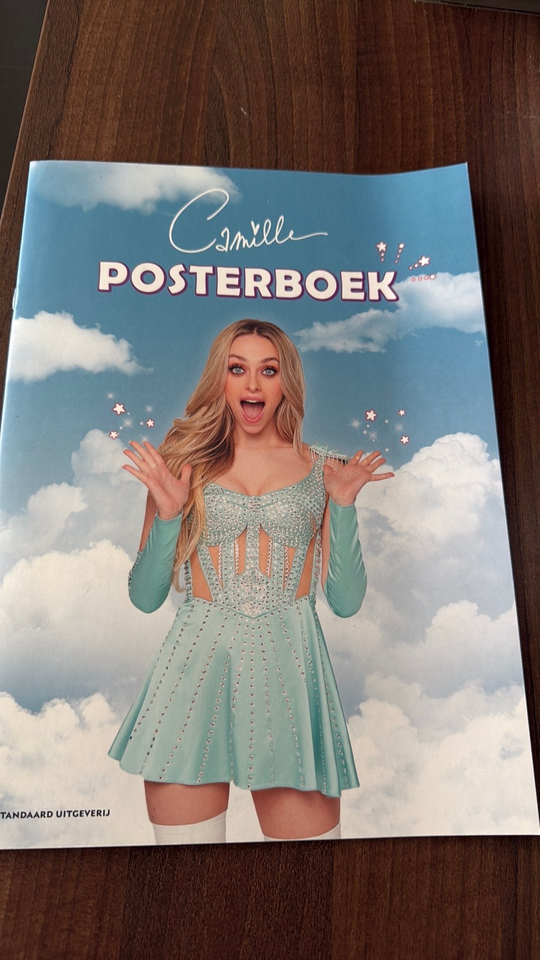 Coole Posterboek van Camille : 12 grote posters, Ophalen, Rechthoekig Liggend, Nieuw, Canvas of Doek